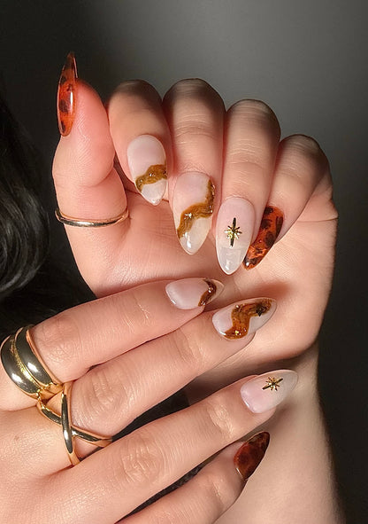 Tortoise shell