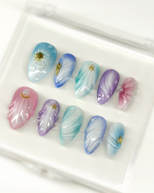 Seashells Galore
