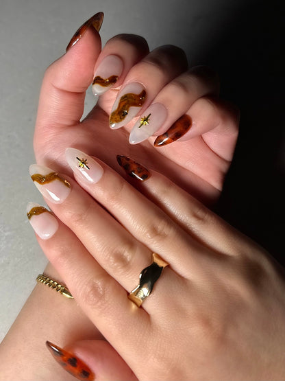 Tortoise shell